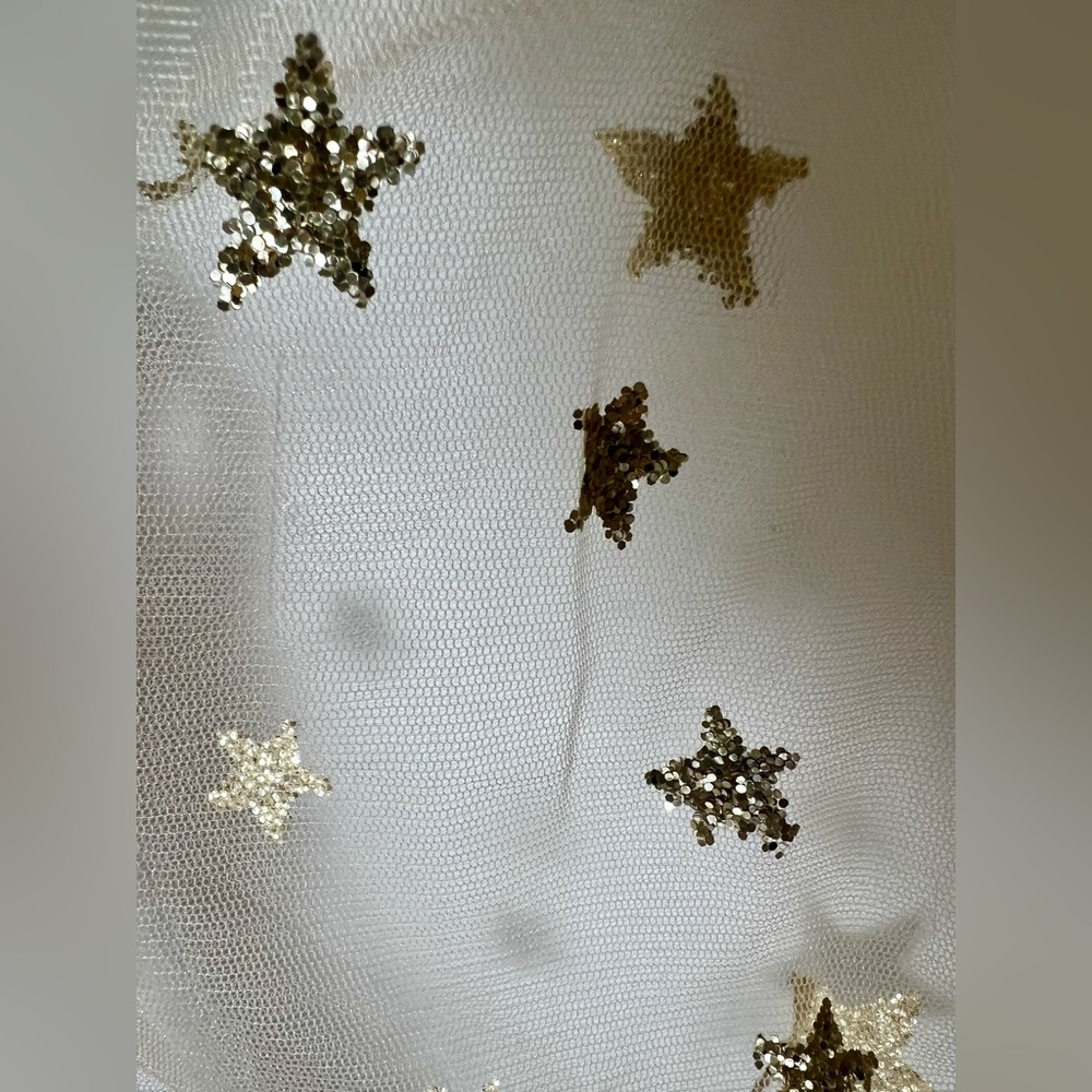 Lirika Matoshi Beige Tulle A-Line Skirt with Gold Star Embellishments - Picture 4 of 7